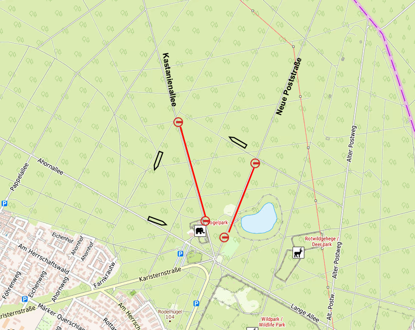Krötenwanderung: Zahlreiche überfahrene Tiere